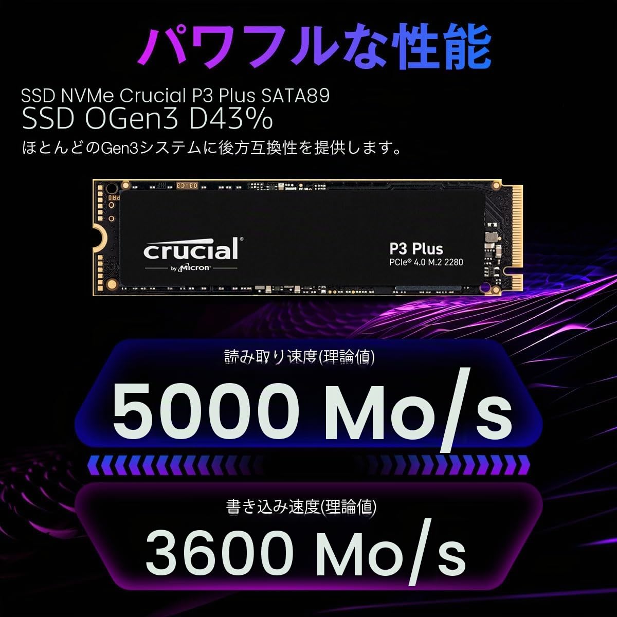 CT1000P3PSSD8