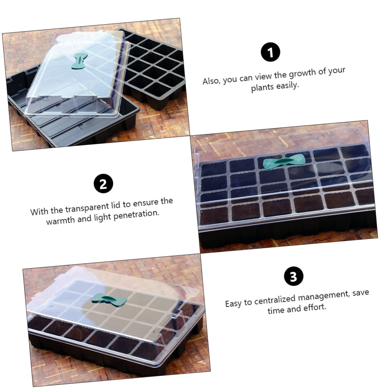 Abaodam 3juegos Bandejas para Plántulas de Huecos Rejilla Resistente para Germinación de Hortalizas Suministros de Jardinería