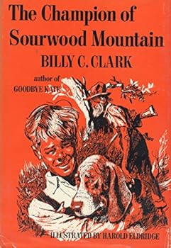 Paperback The Champion of Sourwood Mountain Book