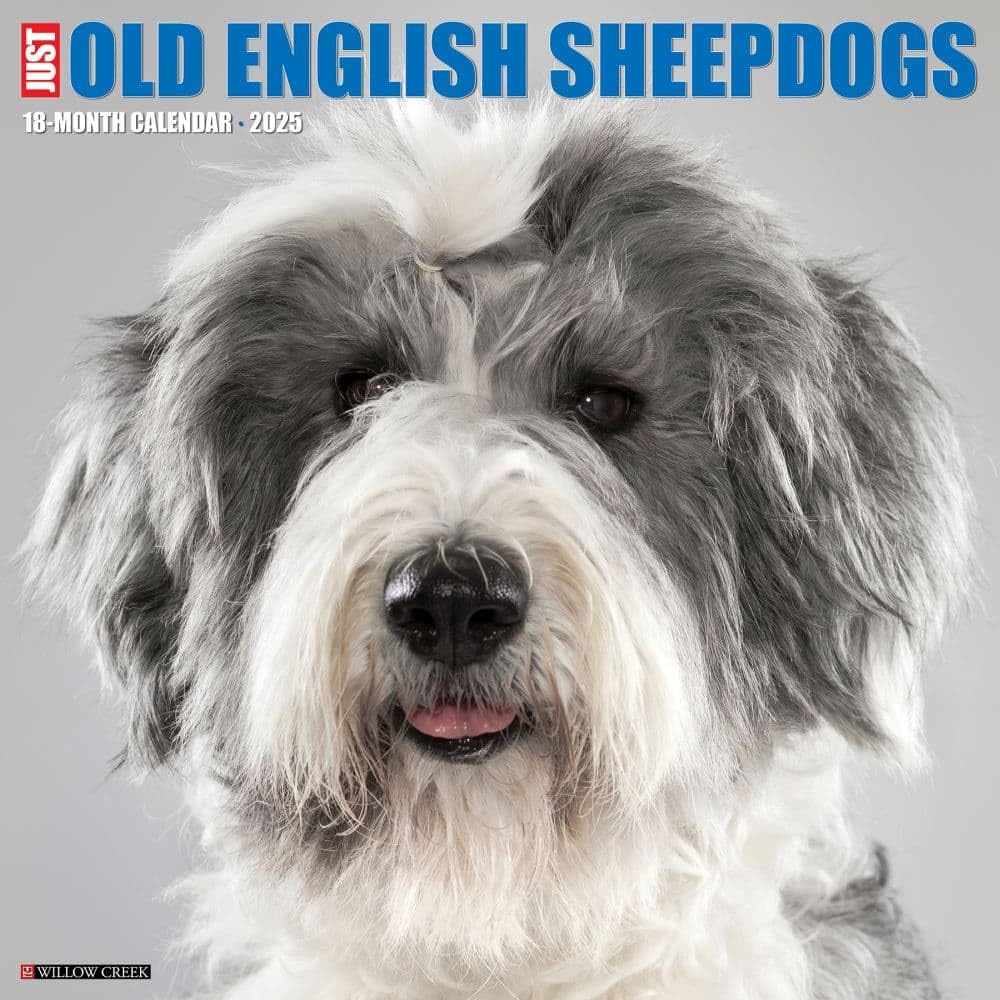 Old English Sheepdogs 2025 Wall