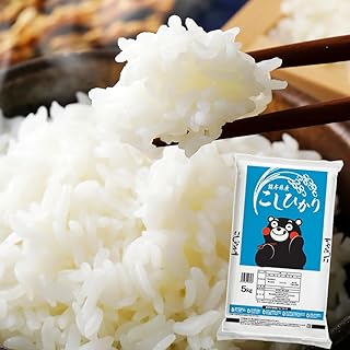 令和7年産 熊本県産こしひかり 無洗米 5kg 《7-14日以内に出荷予定(土日祝除く)》苓北町 ふるさと納税