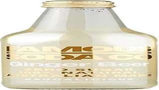 Famous Soda Co Sugar Free All Natural Ginger Beer Soda 12 x 330 ml