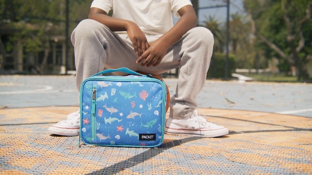 Amazon.com: PackIt(R) Freezable Classic Lunch Box, Daisy Sage