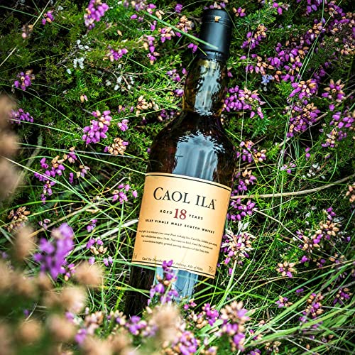 Caol Ila 18 Jahre | Islay Single Malt Scotch Whisky | Ausgezeichneter, aromatischer Bestseller | handverlesen von der… – Bild 5