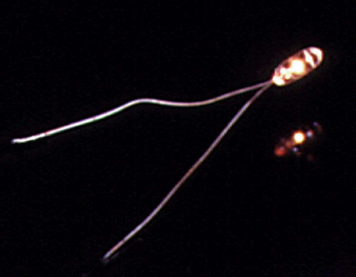 Cir-Kit Concepts Dollhouse Miniature 1.5 Micro Bulb w/1" Wire Terminals (15 ma) #CK1010-15