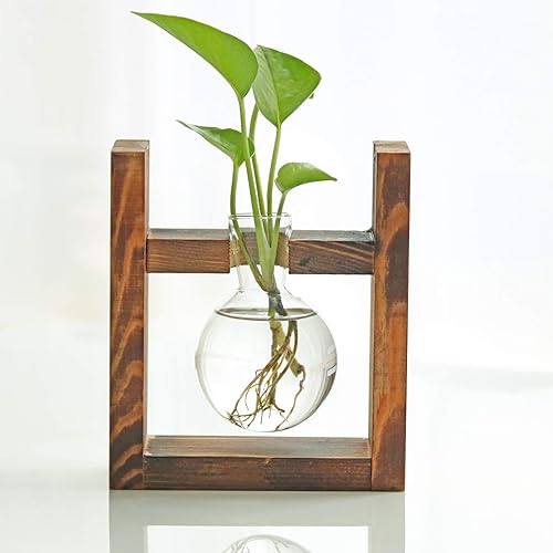 Miniatura 31 de Kingbuy Terrario para plantas con soporte de madera, maceta de vidrio, propagación de escritorio, florero de 3 bombillas, soporte de metal, estante