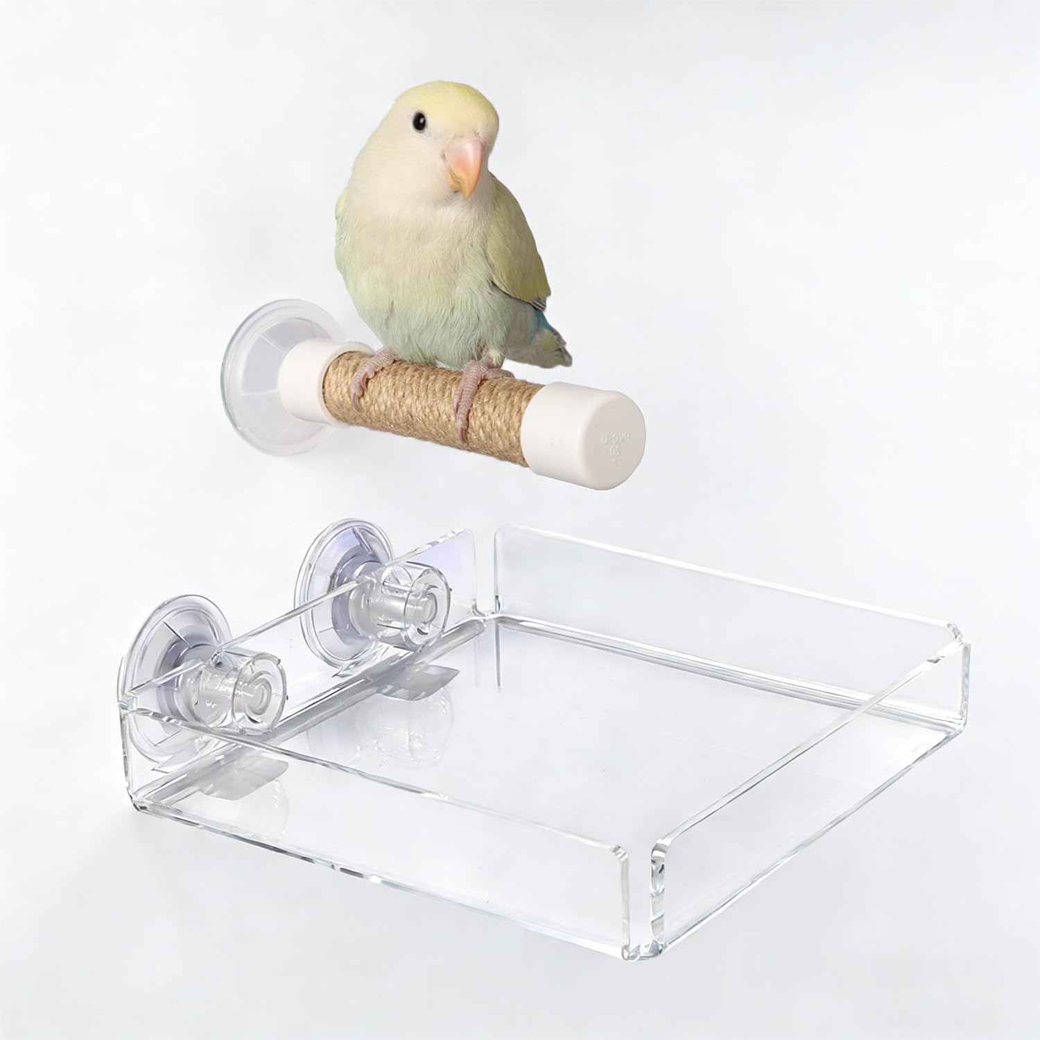 2-in-1 Bird Perch with Removable Tray | Suction Cup Bird Perch with Locking Guard & Feeder Tray | for Small and Medium Birds Like Parakeets, Cockatiels, Lovebirds, Conures(Clear,Medium)