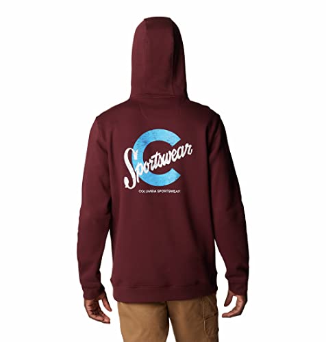 Image of Columbia Men CSC Basic Logo II Hoodie
