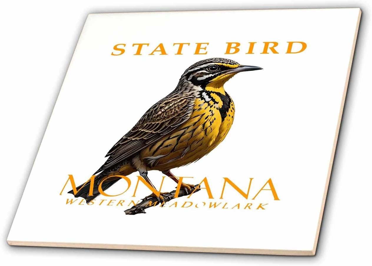3dRose Montana Territory Bird The Western Meadowlark 12 Inch Ceramic Tile