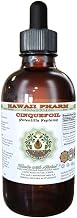 Cinquefoil Alcohol-Free Liquid Extract, Cinquefoil (Potentilla Reptans) Dried Herb Glycerite Hawaii Pharm Natural Herbal Supplement 2 oz