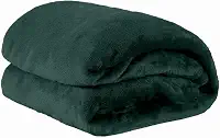 Cobertor Manta Microfibra Solteiro 01 Peça (Toque Aveludado) - Verde