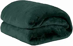 Cobertor Manta Microfibra Solteiro 01 Peça (Toque Aveludado) - Verde