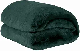 Cobertor Manta Microfibra Solteiro 01 Peça (Toque Aveludado) - Verde