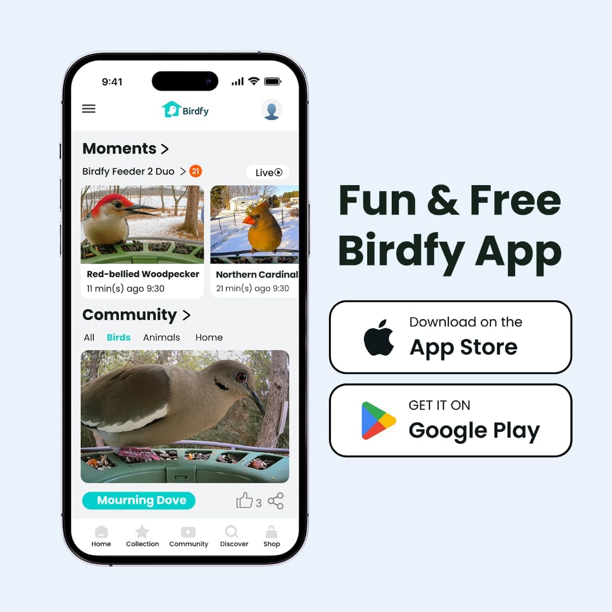 Birdfy 2 Smart Bird Feeder with Camera, AI Identifies Bird Species, 2K Dual-Lens + Side HD Camera for Live Streaming & Feeding View, Solar-Powered Backyard Birdwatching Gift Present - Image 10