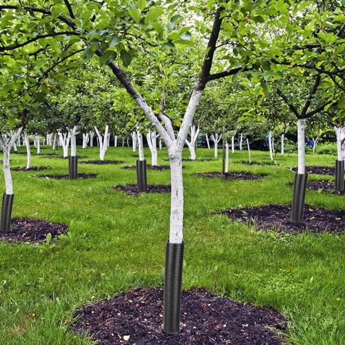 Protection de tronc d'arbre Menkxi plastique noir contre les morsures d'animaux - 5
