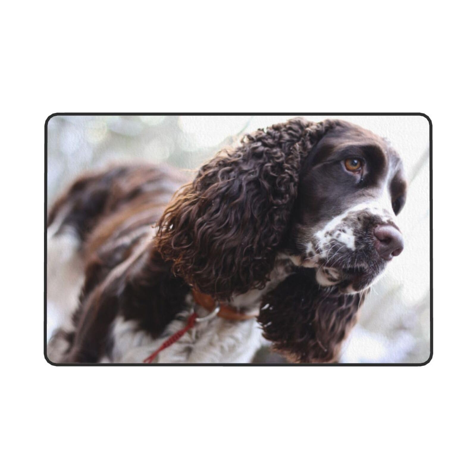 Englischer Cocker Spaniel, braun-weiße lockige Hunde, Großer Teppich, rutschfeste Fußmatte für Wohnzimmer und Schlafzimmer, 150 x 100 cm