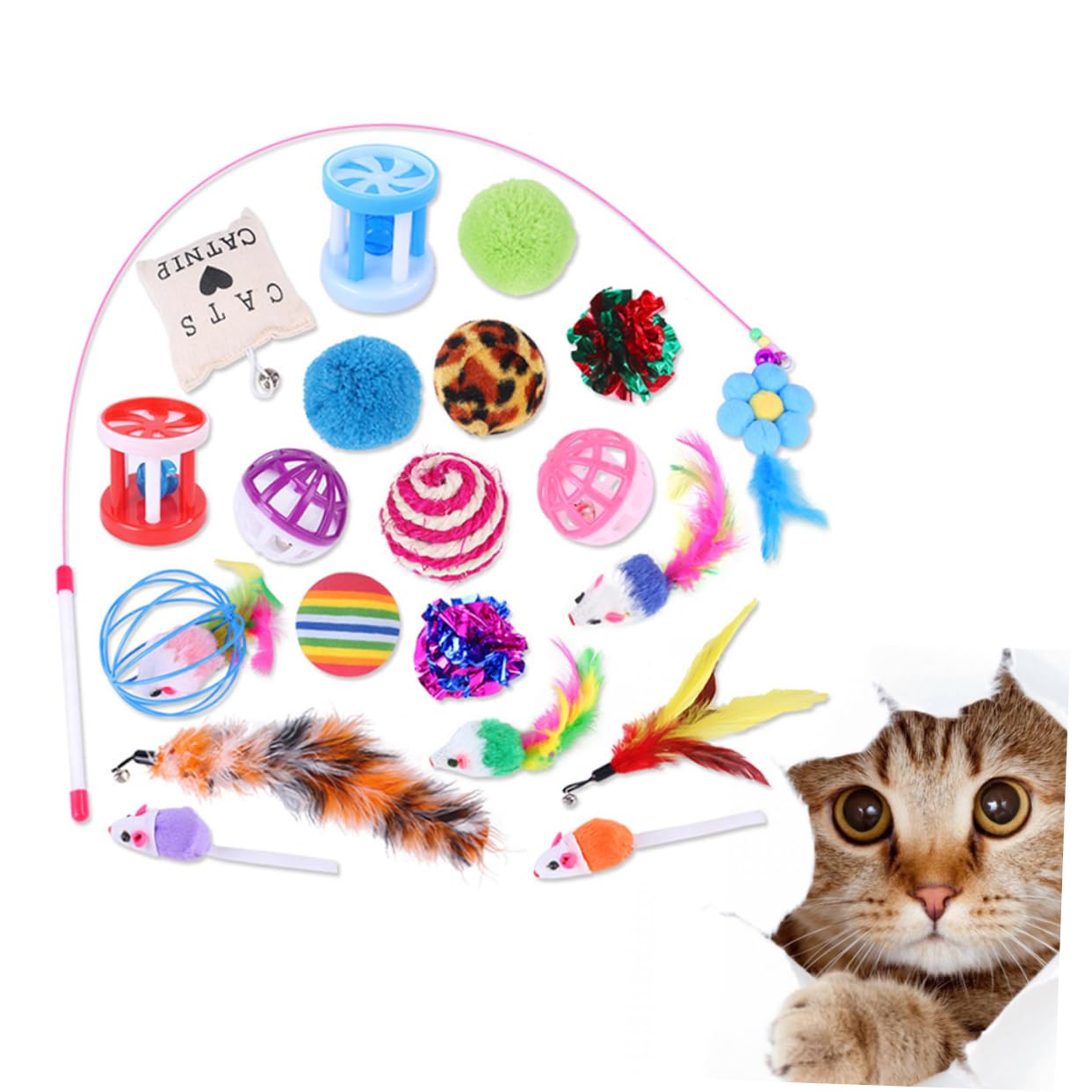 FOMIYES Ensemble De 60 Jouets Interactifs pour Chats Clochettes Et Jouets Amusants pour Chats