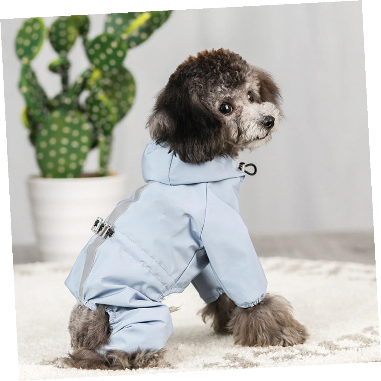 Amosfun Reflective Waterproof Dog Raincoat Adjustable Breathable Blue S Pet Rain Jacket for Puppies Outdoor Wear