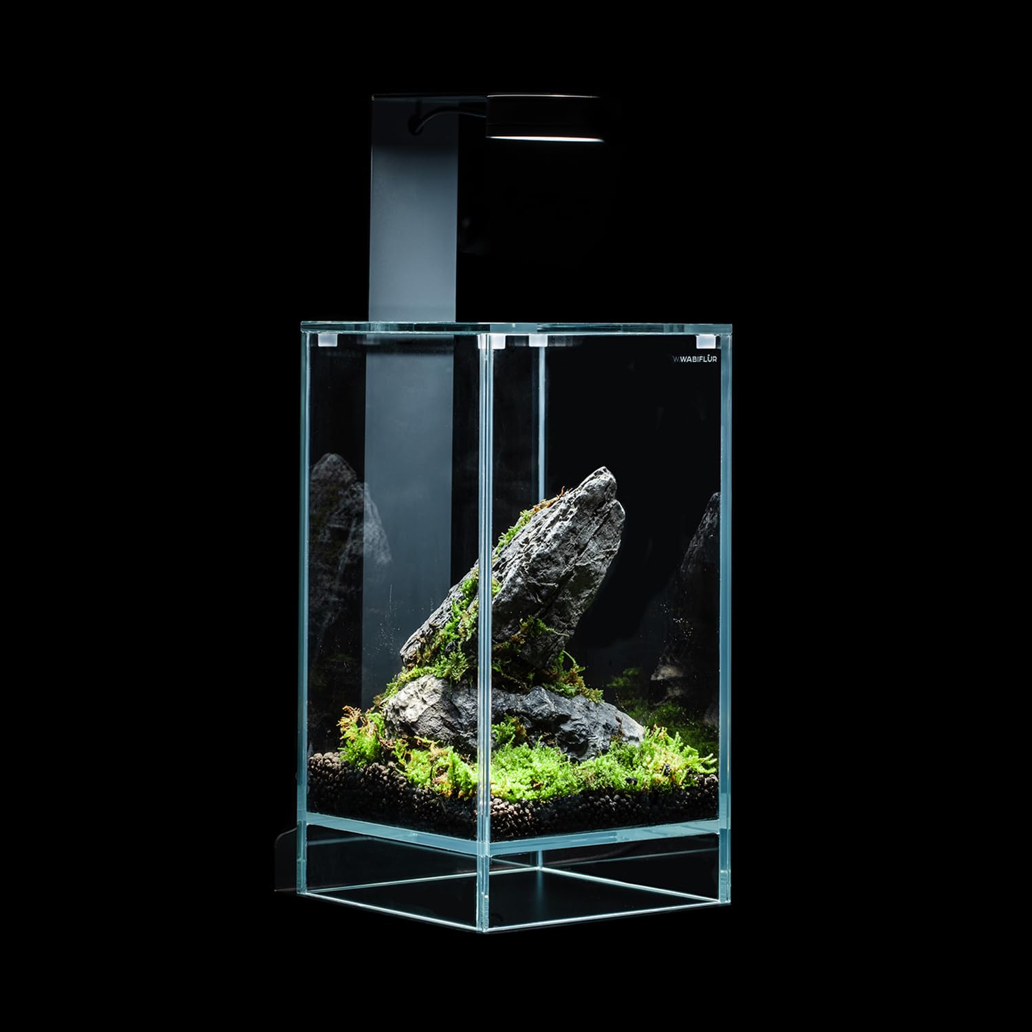 Terrario Terrarium in Vetro Extrachiaro con LED Integrato, Design Elegante per Ecosistemi Naturali e Giardini Acquatici, Dimensioni 15x15x25 h cm
