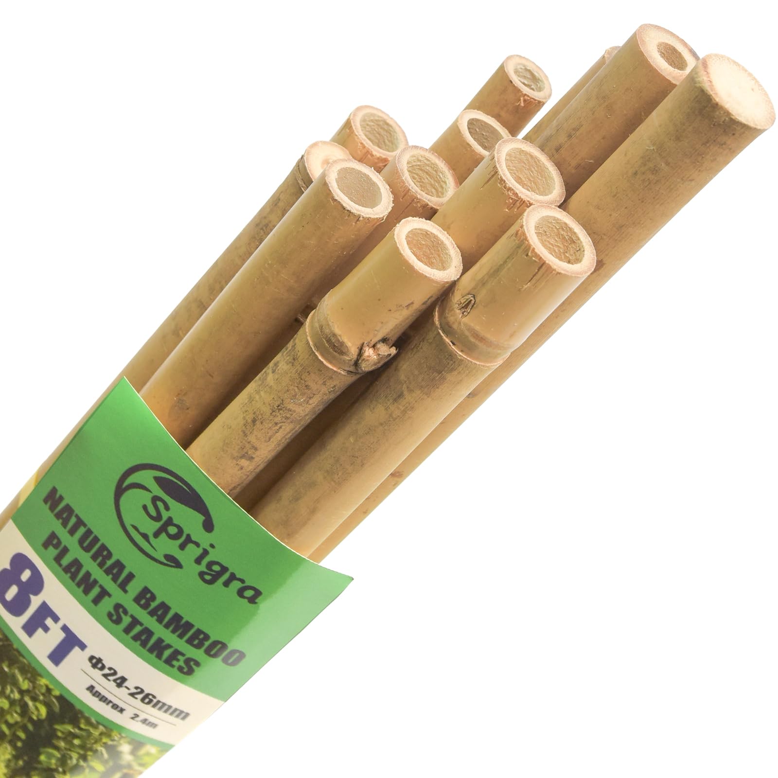 Sprigra 8 ft Bamboo Stakes