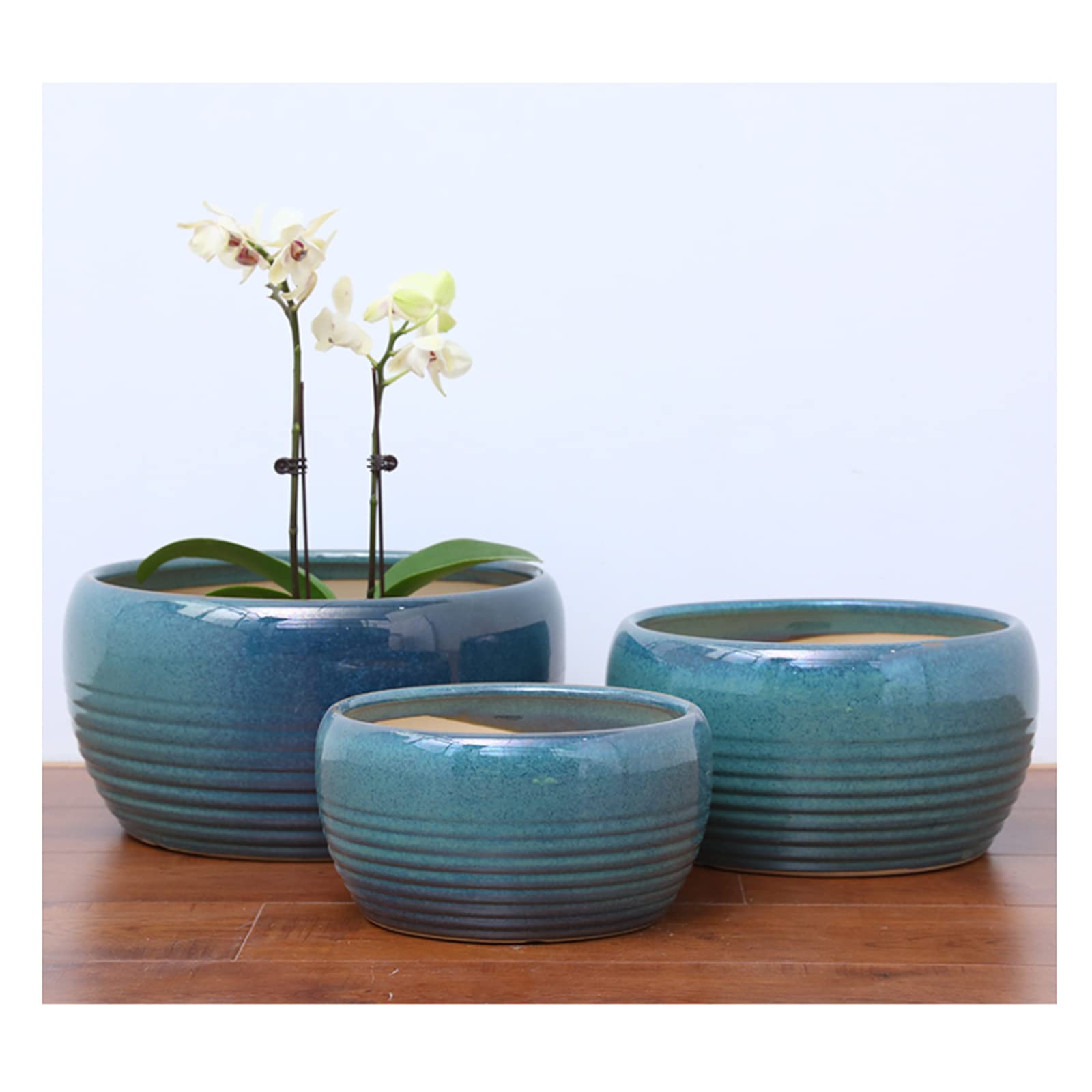 Vasi da Giardino Vaso per Fiori succulenti per la casa, Semplice fioriera in Ceramica con Foro di drenaggio e piattino in plastica per la casa e la Decorazione dell'ufficio