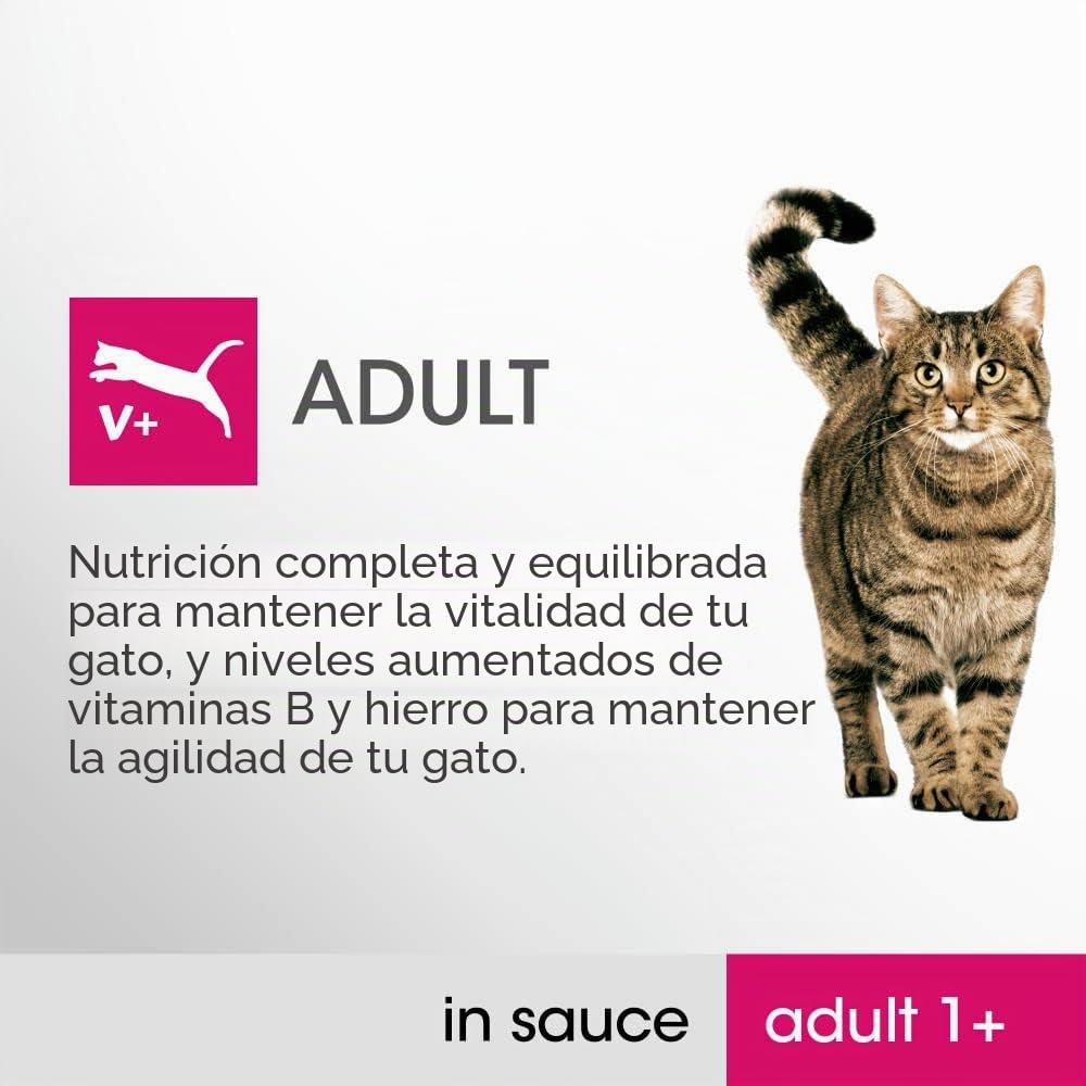Perfect Fit Bolsas de comida húmeda para gatos - Nutrición avanzada para gatos adultos 1+, selección mixta en salsa, paquete de 4 (4 x 12 bolsas x 85 g)