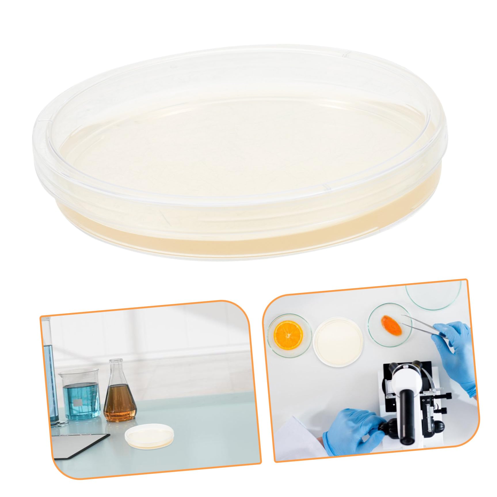 Alipis Piastre di Petri in Plastica Sterili Agar Nutriente Pre-colato, 20 Pezzi, 9cm, per Colture Cellulari e Sperimenti di Laboratorio, Crescita Stabile e Confezione Sterile