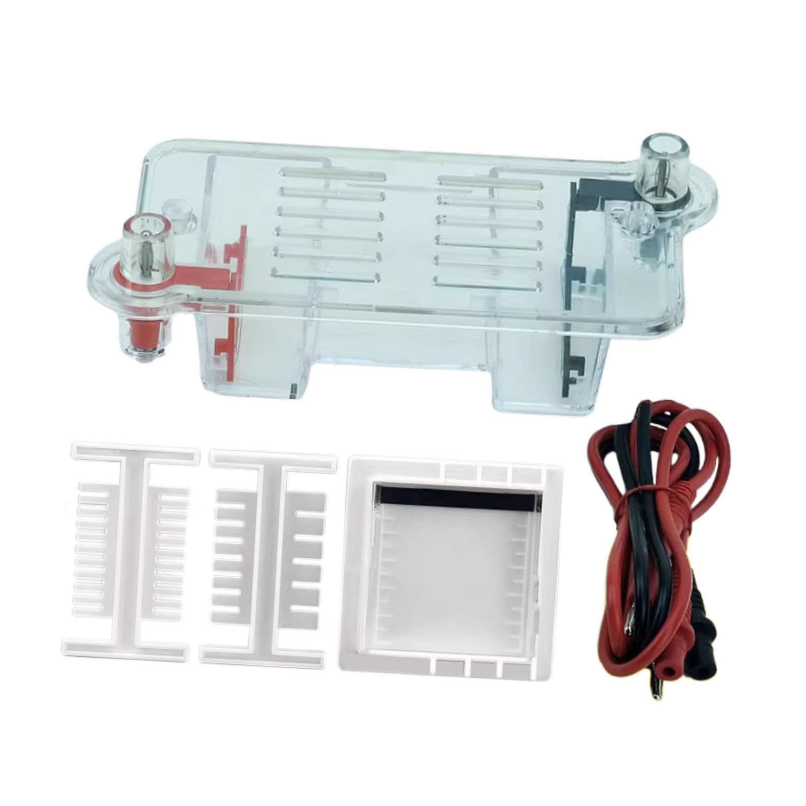 Elektrophorese Apparatur Set mit Gel Tank für Physik Experimente Gel Elektrophorese Rack aus PP Material Lehrmittel für Biologie Unterricht