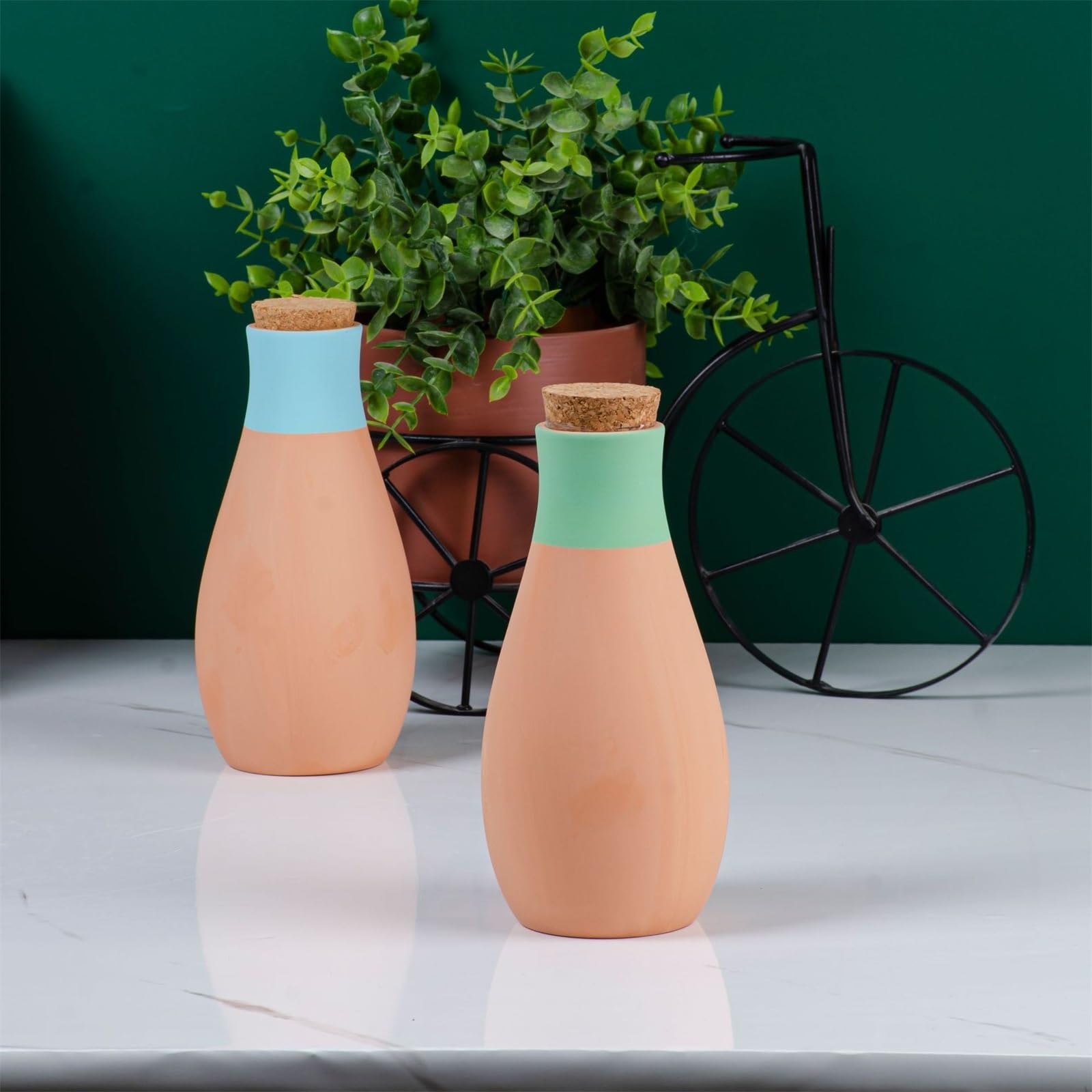 Dispositivi di Irrigazione Irrigazione Automatica con accumulo in Ceramica per Piante in Vaso