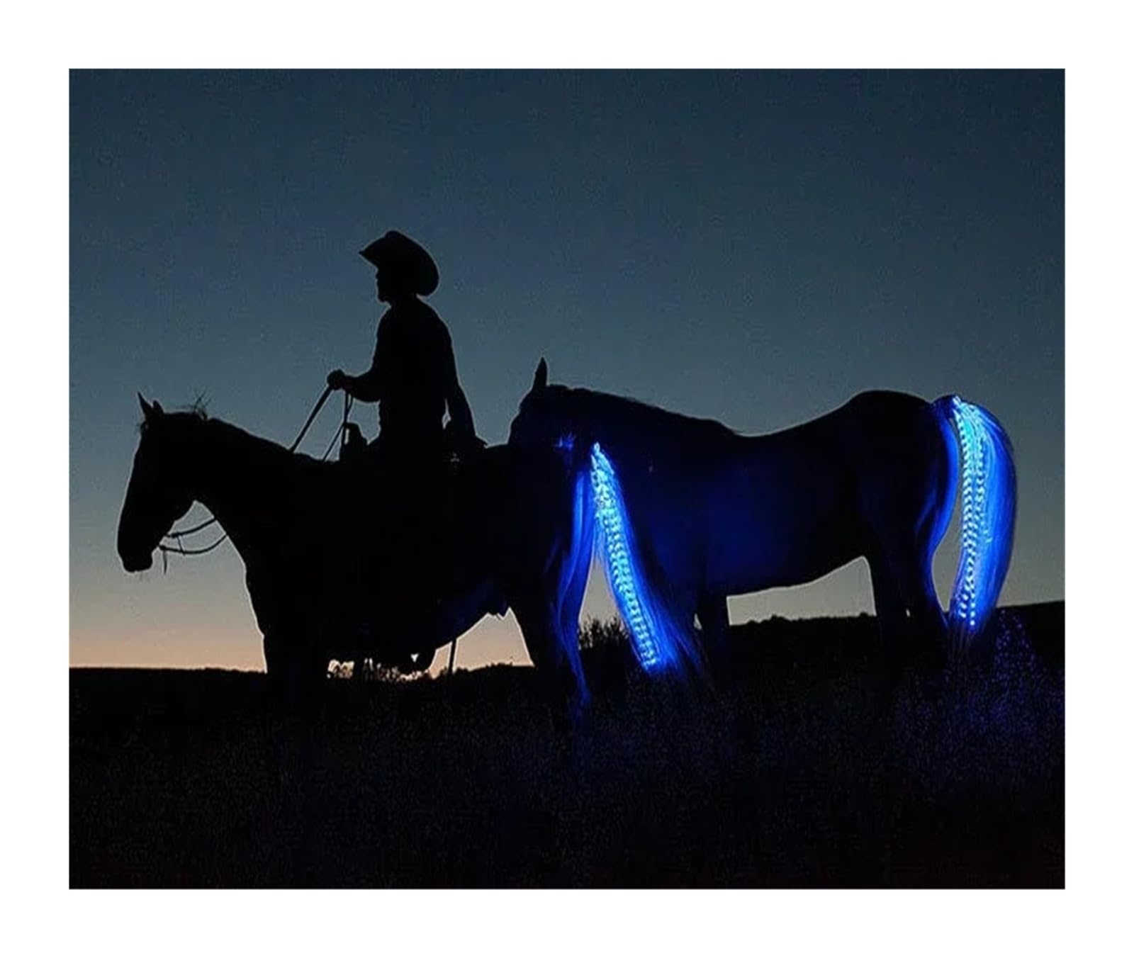Leuchtende, wiederaufladbare LED-Streifen, Pferdeschwanzlicht für Show (3)