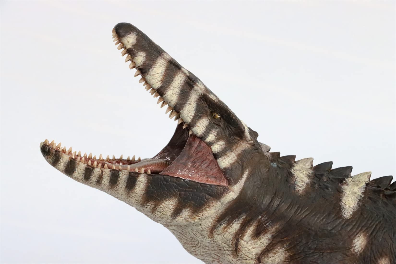 Amazon.co.jp: Nanmu 本心楠改 1/35スケール モササウルス フィギュア