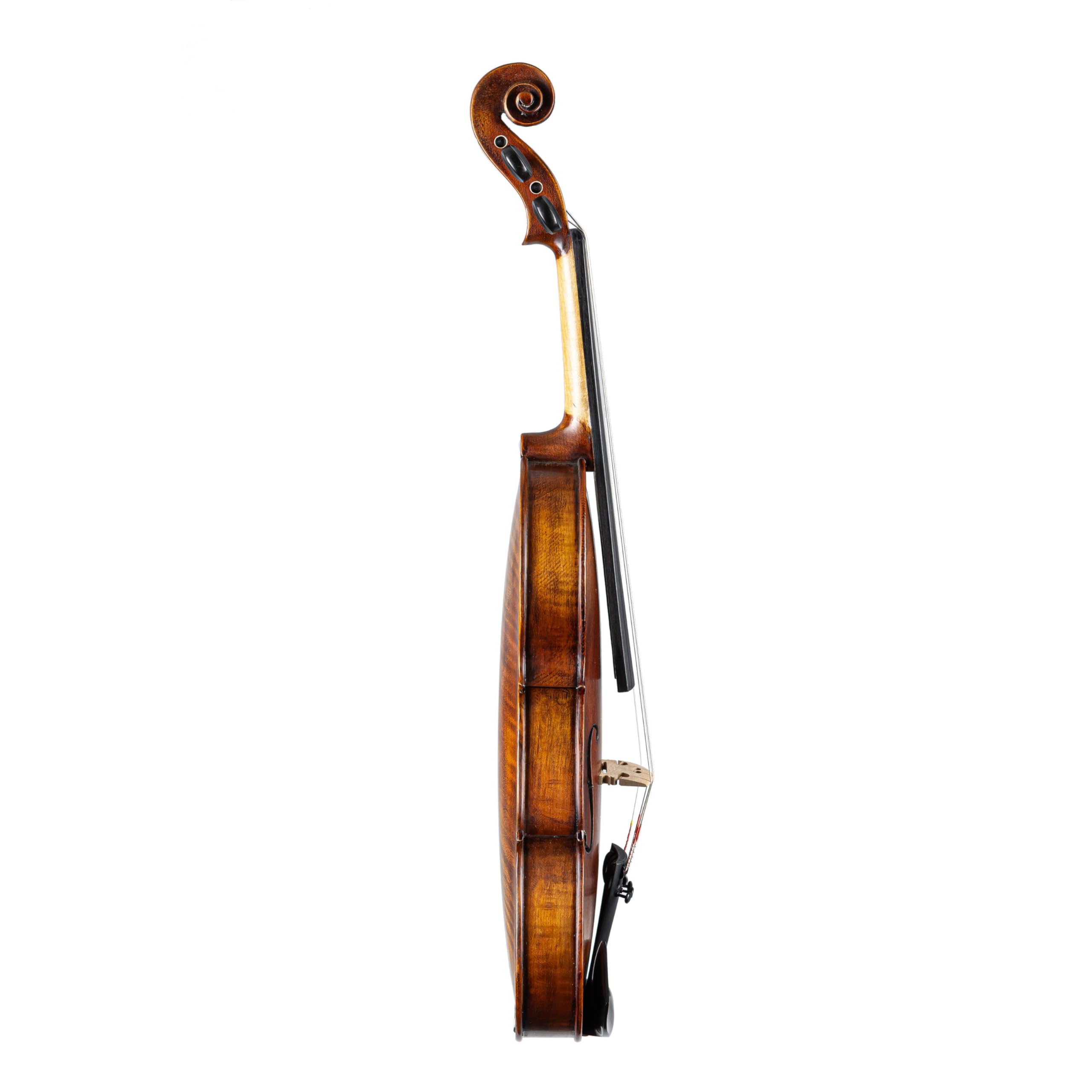 Stentor 1864/A Vérone 4/4 Tenue de violon