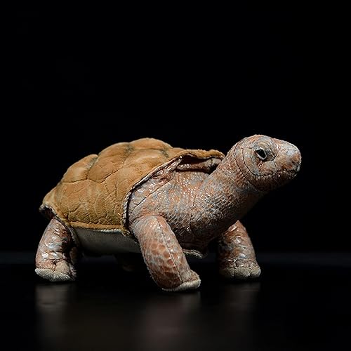 ZHONGXIN MADE Juguete de peluche de tortuga de simulación – 11 pulgadas realista de animales de peluche de tortuga marrón Rex, muñecas de felpa