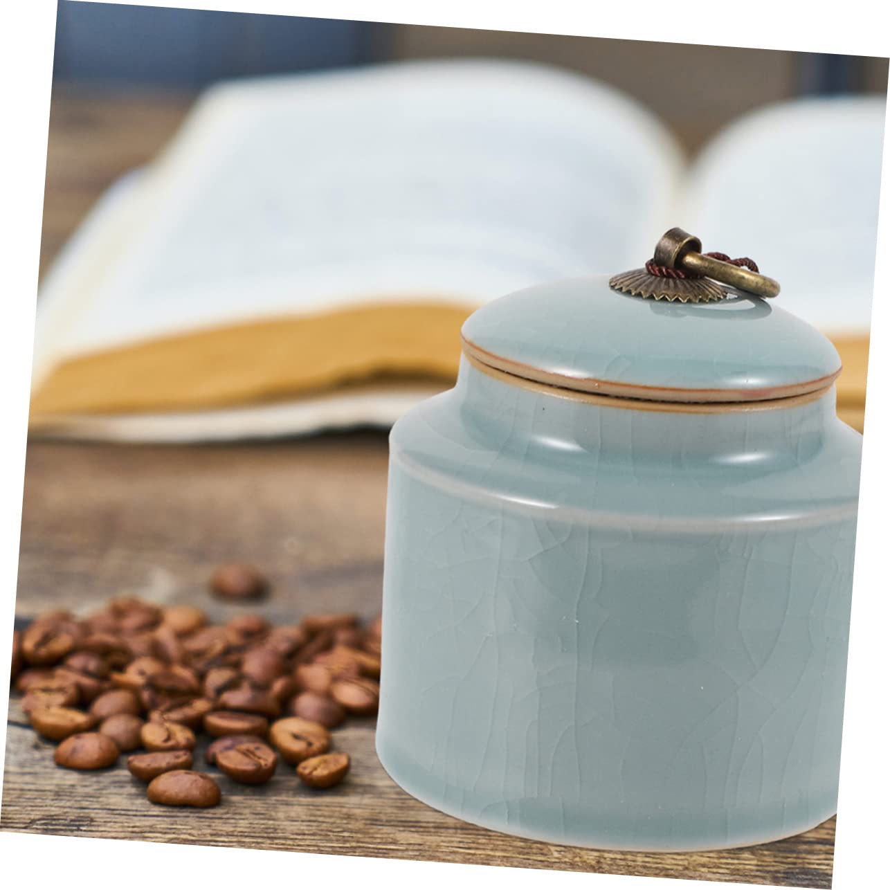 VICASKY Barattoli la Conservazione in Ceramica Sigillati 2 Pezzi, Contenitori Ermetici per Alimenti Secchi, Barattoli Cucina Decorativi per Tè, Zucchero e Snack, Adatti a Casa,