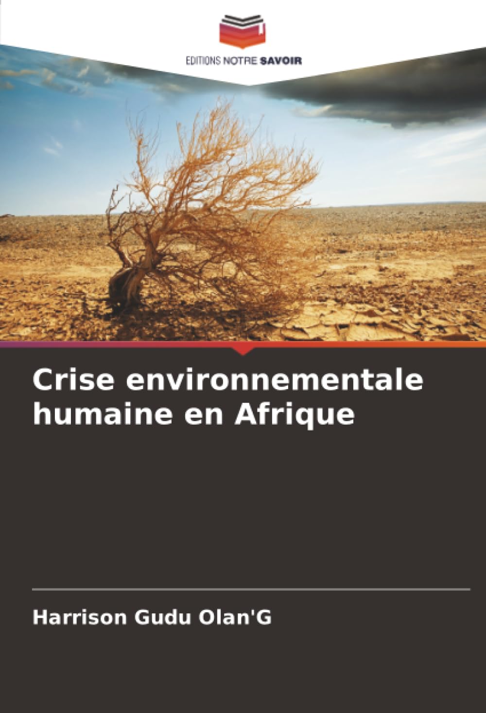 Crise environnementale humaine en Afrique