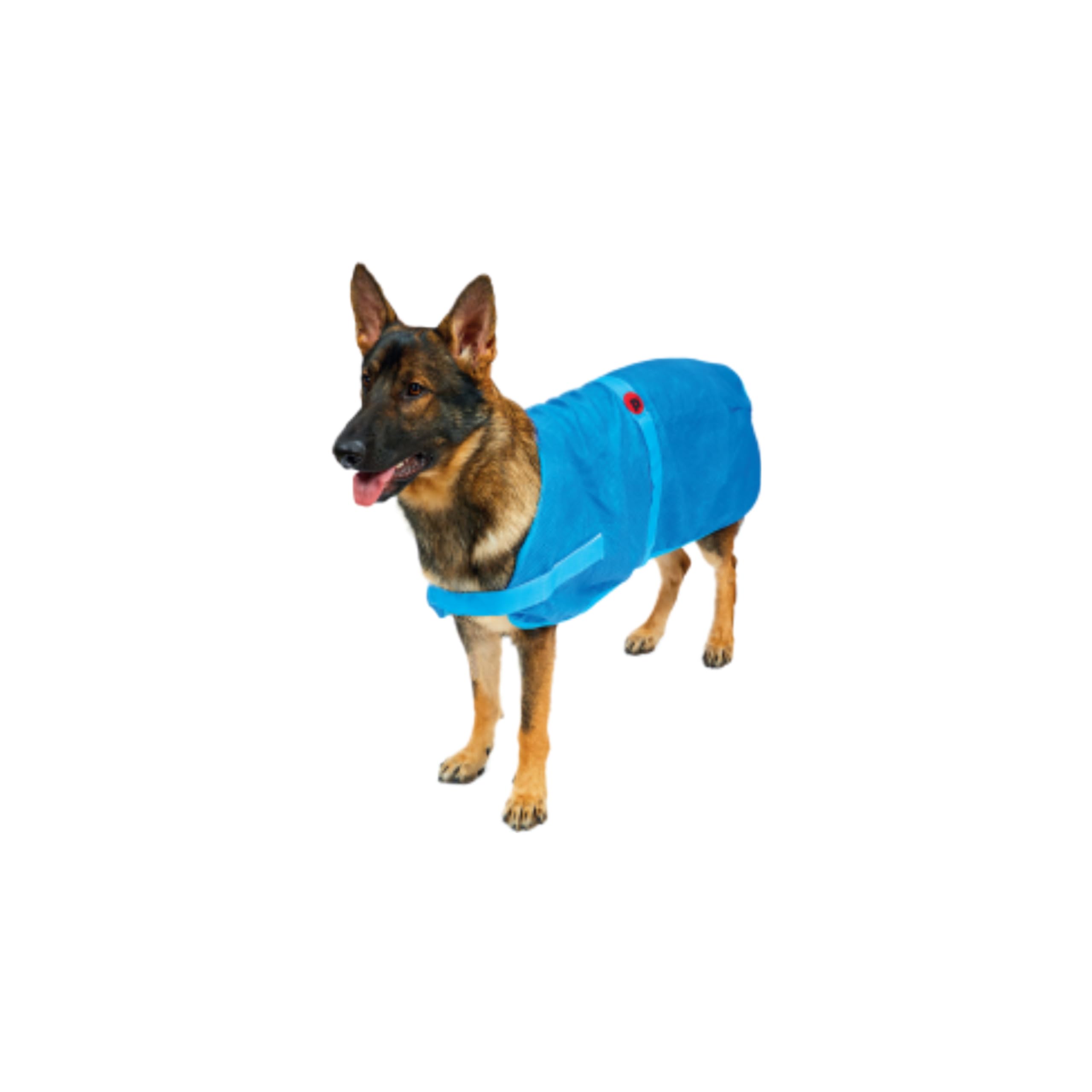 Petface Cooling Summer Hundemantel, 60 cm, Blau