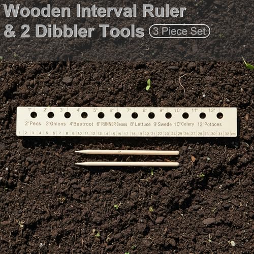 Regla de madera para siembra con 2 dibblers, 3 piezas miniatura 2