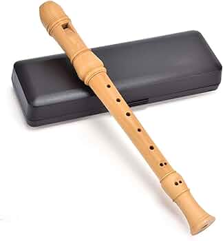 moeck リコーダー ブロックフルート ハードケース 木製 メック moeck