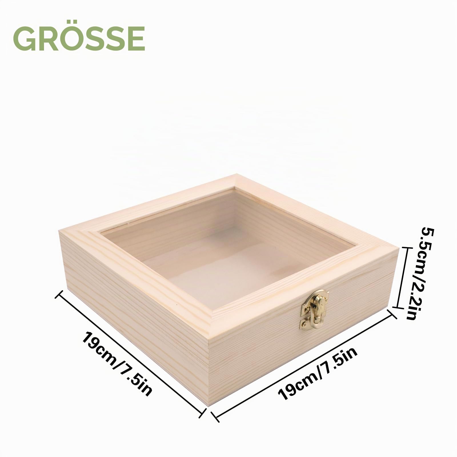 Insekt Vitrine Insektensammlung Herstellung von Insektenproben Werkzeug Kit Insektennadeln Insektensammlung Insekten Schaukasten für Bug Hobbyist
