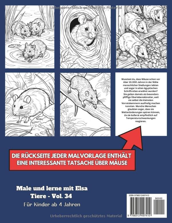 50 Mäuse-Malvorlagen – Malbuch für Kinder und Erwachsene: +50 erstaunliche Fakten über Mäuse. Ausmalbuch für Jungen und Mädchen. Male und lerne mit Elsa – Tiere – Band 34