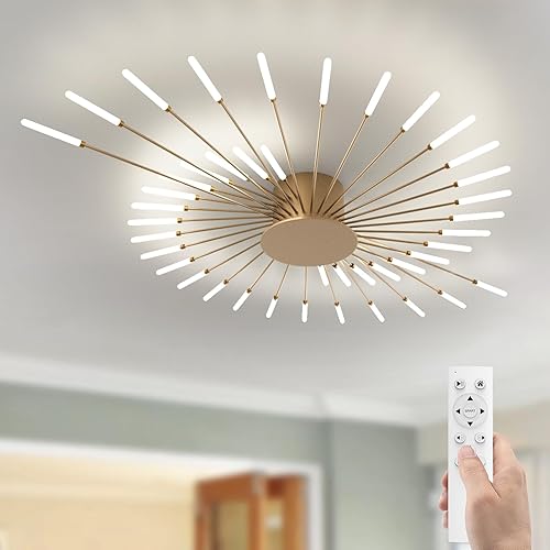 AHXIAOZN Lámparas de techo modernas con control remoto, lámpara de techo de montaje empotrado, pantalla acrílica, lámpara de techo de fuegos