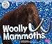 Woolly Mammoths (Ice Age Animals)
