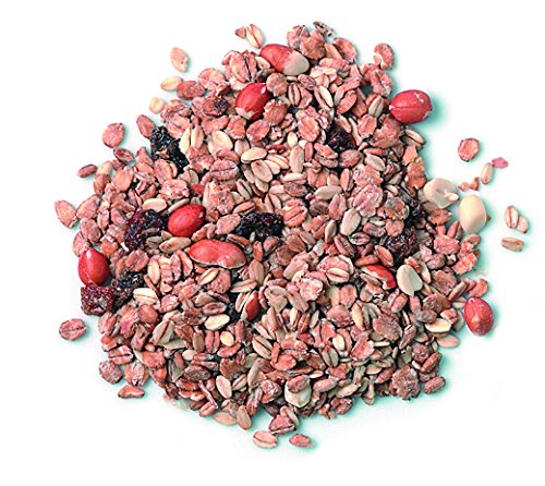 Erdtmanns Fettfutter für Wildvögel 10 kg – Energiereiches Wintermüsli mit Haferflocken, Erdnüssen & Rosinen – Für Amsel, Rotkehlchen & Co – Ganzjährig & schalenfrei