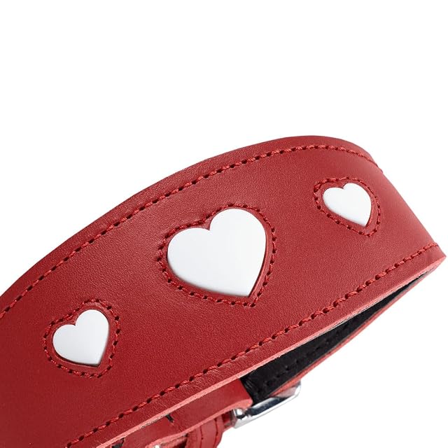 Foto 4 de 8 de HUNTER Collar de Galgo Love