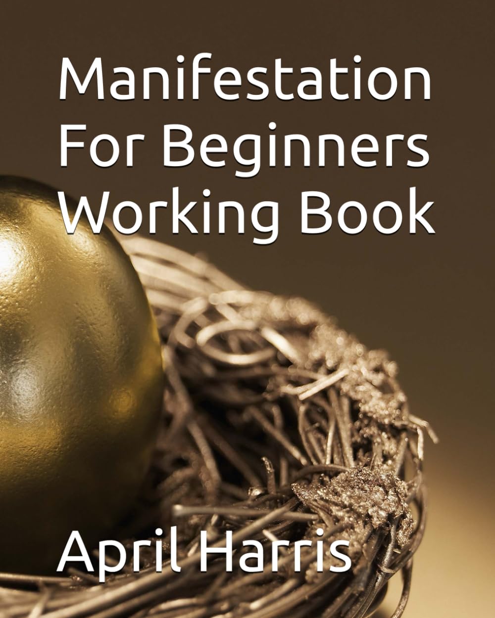 Manifestation For Beginners Working Book (Manifest & Multiply)