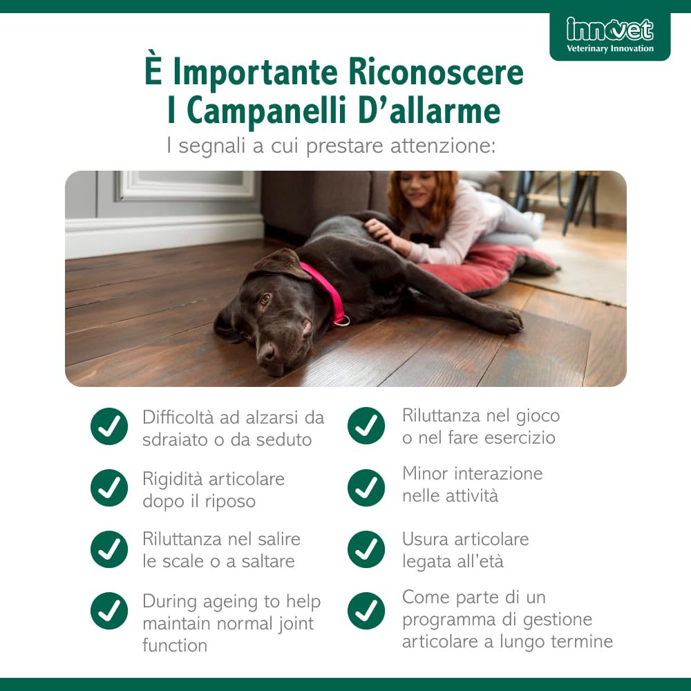 Innovet Condrostress Mobility per Cani Adulti e Anziani Che Soffrono di Rigidità Articolare – 30 Soft Chews – Supporta Il Metabolismo Cartilagineo e la Mobilità (90 soft chews per cani)