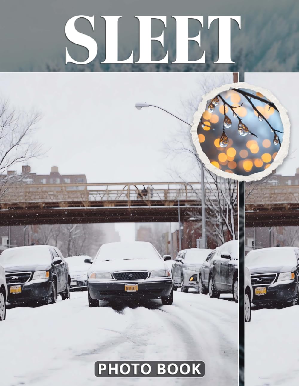 Sleet Photo Book: Freezing Rain And Winter Precipitation Photography Showcasing Ice Crystals Snow Patterns And Cold Weather Scenes In Unique Weather Images