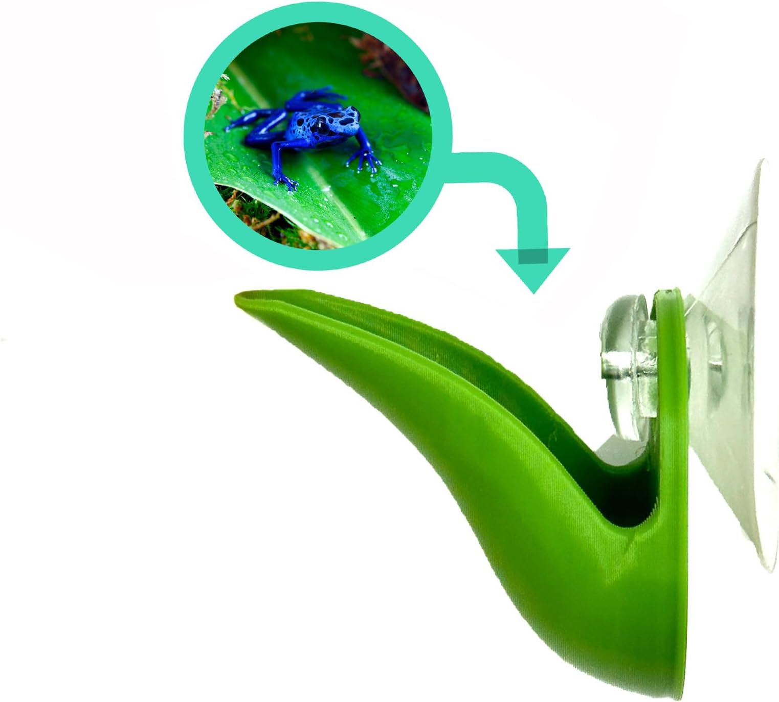 Dart Frog Leaf Pod - Bromeliad Leaf Hide