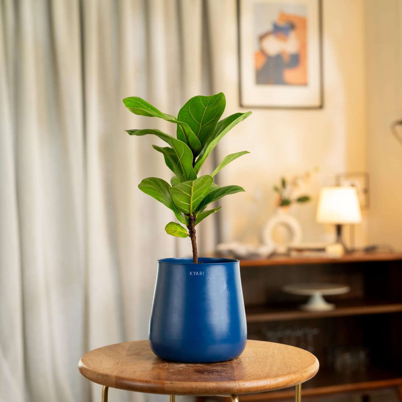 See full amazon price history chart for KYARI Fiddle Fig Indoor Plant for Living Room | Live Plants | Plants with Blue Aura Self Watering Pot for Home | Office Plants | Plants for Home Decor KYARI Fiddle Fig Indoor Plant for Living Room | Live Plants | Plants with Blue Aura Self Watering Pot for Home | Office Plants | Plants for Home Decor (B0DCVH4HMY) Amazon Price History, Amazon Price Tracker