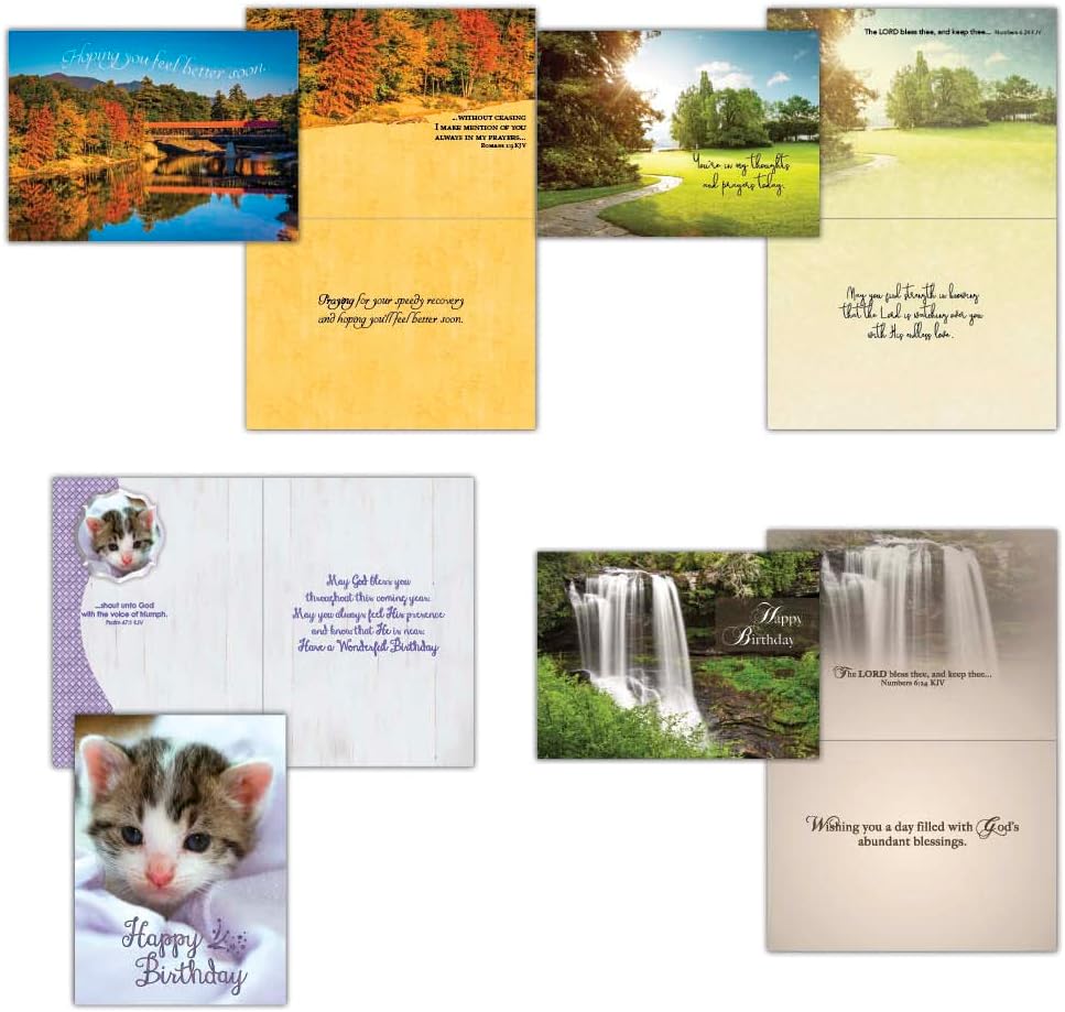 Shared Blessings All Occasion Religious Greeting Cards Value Pack 2 - King James Version Scriptures - Faith Based Greeting Cards - Inspirational Thinking of You Cards with Envelopes - Assorted Designs including Religious Birthday, Thinking of You Cards - 48 Count : Office Products